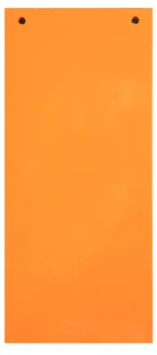 Produktbild von Packung mit 100 Trennstreifen gelocht aus Manila Karton 190g Nature Future, 105x142mm Orange