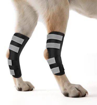 Productafbeelding van Kniebandage voor Honden, 2 Stuks met Antislip