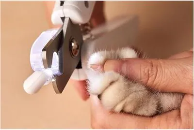 Produktbild von PETKIT LED Pet Nail Clipper (PK403)