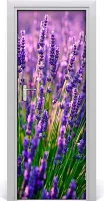 Produktbild von Tulup Türaufkleber 75x205 cm Dekorative Aufkleber Selbstklebend Wasserdichte Tapete Abnehmbar Schlafzimmer Wohnzimmer Wohnkultur - Lavendelfeld