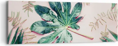 Produktbild von Bild auf Leinwand - Leinwandbild - Einteilig - Blatt Tropisch Palme - 90x30cm - Wand Bild - Wanddeko - Wandbilder - Leinwanddruck - Bilder - Wanddekoration - Leinwand bilder - Wandbild - AB90x30-4314