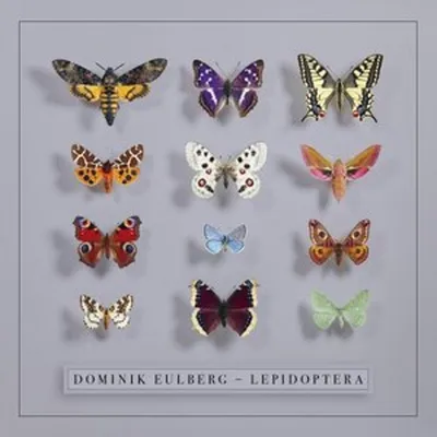 Imagen del producto de Lepidópteros