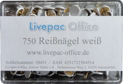 Produktbild von 750 Reissnägel / Reißbrettstifte / Reißzwecken / Heftzwecken / weiß