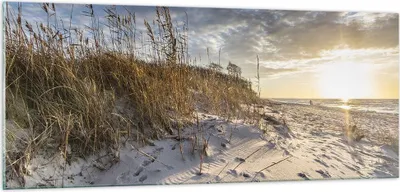 Produktbild von Bilder auf glas - Einteilig - Sand Gras Meer - 100x40cm - Glasbilder - Wandbilder - Bilder - zum Aufhängen bereit - Wanddekoration aus Glas - Glas Bilder - Wandbild auf Glas - GAB100x40-4781
