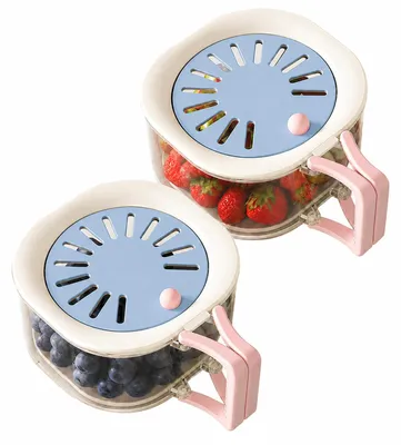 2-in-1 Obst-Gemüse-Box mit Abtropffunktion, blau