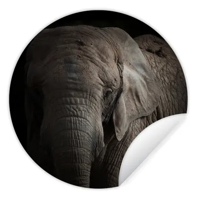 Produktbild von MuchoWow® Runde Wandtattoo - Wandsticker Tapete Aufkleber Elefant - Porträt - Tiere - Schwarz Ø 50 cm Selbstklebend und Repositionierbar - Wandaufkleber - Kreis - Wand Kreis - Wand Bild - Foto Tapete - Selbstklebende - Wohnzimmerdekoration - Wand Dekoration - Kinderzimmer