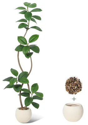 Zdjęcie produktu dla Sztuczny Fikus Sprężysty (Ficus Elastica) 180 cm - Biały – Realistyczna Roślina Doniczkowa do Domu, Biura i na Taras, Bez Pielęgnacji