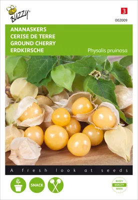 Produktbild von Andenbeere Inkapflaume | Andenbeerensamen von Buzzy Seeds