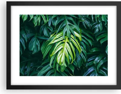 Produktbild von Gerahmtes Poster - Schwarzer Rahmen - Blume Natur - 40x30 cm - Wand Bild - Wanddeko - Wandbilder - Kunstposter - Wandposter - Bilderrahmen - Bilder - Kunstdruck - Wandbild - P2BAA40x30-3951