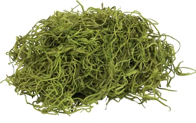 Produktbild von Deko Moos getrocknet naturnah Waldmoos Grün Naturdeko Bastelmoos 300g für Herbstdeko und Weihnachtsdeko
