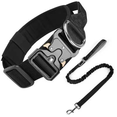 Produktbild von Taktisches Hundehalsband mit Griff, Verstellbar, Gepolstert, Metallschnalle, Schwarz, Größe M