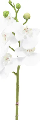 Produktbild von Dekorative Kunst-Orchidee Phalaenopsis mit Real-Touch-Blüten