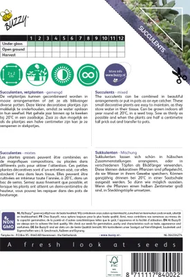Obrázok produktu pre Buzzy izbové rastliny Zmiešané sukulenty Samen - Ca. 7 Samen | Buzzy_084002
