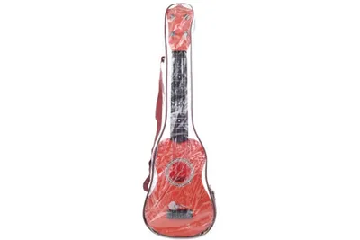Immagine prodotto di Chitarra in custodia