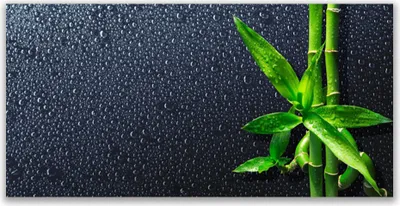 Produktbild von Tulup Leinwand-Bilder 140x70 Wandbild Canvas Kunstdruck Bambusrohre Pflanzen