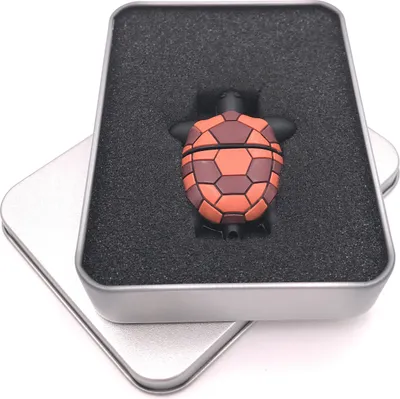 Produktbild von Onwomania Schildkröte Tortoise braun flach USB Stick in Alu Geschenkbox 8 GB USB 3.0