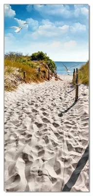 Produktbild von Wallario selbstklebende Türtapete 93 x 205 cm - Möwen auf dem Weg zum Strand - Abwischbar, rückstandsfrei zu entfernen