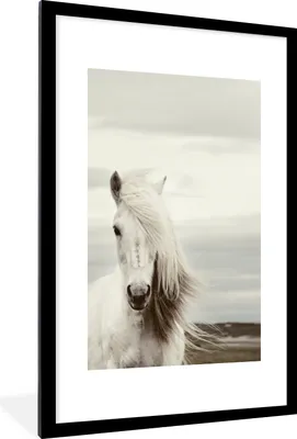 Produktbild von MuchoWow® MuchoWow® Gerahmtes Poster Pferd - Strand - Mähne 60x90 cm - Poster mit zchwarzem Bilderrahmen - Dekoration - Wandposter Wohnzimmer - Hochwertig