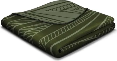 Produktbild von Biederlack Wohndecke V&B WILLOW BL 150x200 cm grün Decke Kuscheldecke