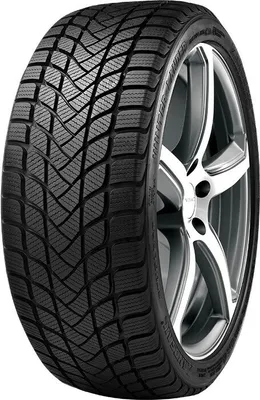 Produktbild von 205/55R16 91H Winter Lander
