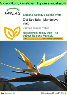Obrázok produktu pre SAFLAX Garden to go - Žltá Strelitzia - Mandelovo zlato - Strelitzia reginae Yellow - 4 Semená - S črepníkom, klimatickým vekom a pestovateľským substrátom