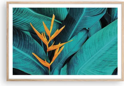 Produktbild von Gerahmtes Poster - Rahmen in heller Eiche - Blumen Tropen Blätter - 91,5x61 cm - Wand Bild - Wanddeko - Wandbilder - Kunstposter - Wandposter - Bilderrahmen - Bilder - Kunstdruck - P2NAA91x61-5116