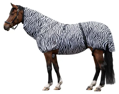 Immagine prodotto di Tappeto HKM Eczema - zebra