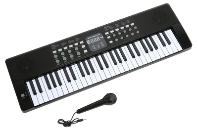 Productafbeelding van Keyboard met microfoon en voedingsaansluiting, 54 toetsen