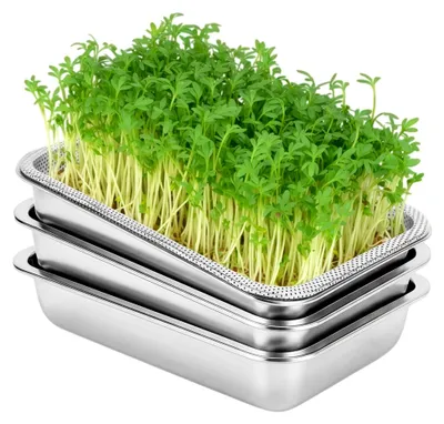 Produktbild von 3er Set Microgreens Anzuchtset, Schalen für Samensprouter, Sprossenschalen für frische Sprossen, Weizengras und Alfalfa Samen