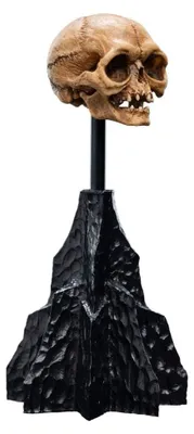 Productafbeelding van Weta Workshop, Lord of the Rings, mini-beeldje: schedel van Gollum, 13 cm