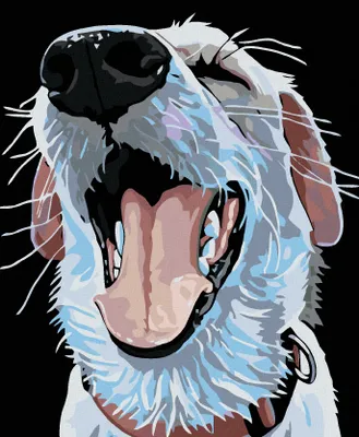 Produktbild von Diamondi - Diamond painting - HUND MIT ROTEM HALSBAND, 40X50 cm, ohne Keilrahmen