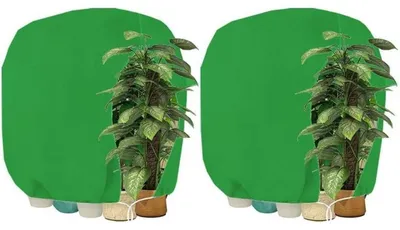 Produktbild von Pflanzen Winterschutzhaube mit Reißverschluss 200 x 240 cm Grün 2 Stück