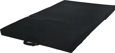 Produktbild von Faltbare Reise- und Gästematratze, 80 x 200 x 10 cm, in der Farbe Schwarz