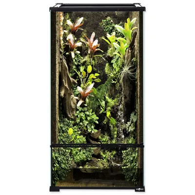 Zdjęcie produktu dla Szklane terrarium 45 x 45 x 90 cm 1 szt