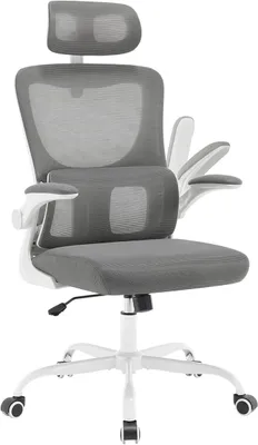Imagen del producto de Silla de oficina ergonómica, silla de escritorio con soporte lumbar, color gris