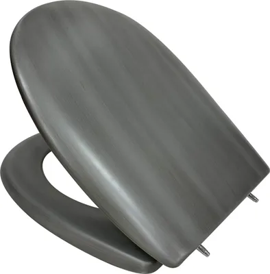 Produktbild von Primaster WC-Sitz mit Absenkautomatik Metallic grau