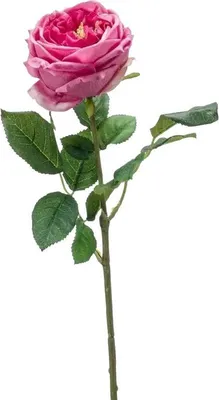 Produktbild von Emerald Künstliche Rose - Charlotte | 58 cm, Real Touch, für drinnen, Kunstblume, wie echt, Allergiker geeignet, pflanzliche Dekoration Praxis, Office & Wohnzimmer