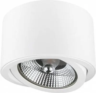 Image de Spot de plafond blanc D-139mm AR111 GU10 IP20 rond orientable