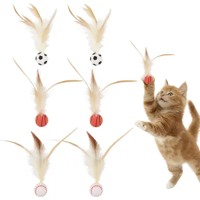6 Gummibälle mit Federn für Katzen, Sportbälle, interaktiv