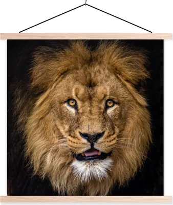 Produktbild von MuchoWow® Textilposter Löwe - Porträt - Schwarz - Tiere 40x40 cm mit holzfarbenen Rahmen - Posterleiste