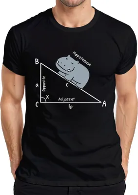 Immagine prodotto di Maglietta da uomo Hippotenuse Maths Trigonometry Triangle Hippo Gift Teacher, nero, L