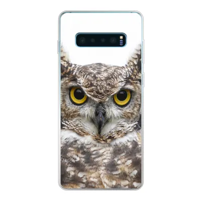 Produktbild von MuchoWow® Handyhülle Schutzhülle Hülle für Samsung Galaxy S10 Lite Porträt einer braunen Eule auf weißem Hintergrund Silikon Softcase Handy Hülle - Schutz