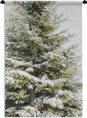 Produktbild von MuchoWow® Wandteppich Wandbehang Winter - Schnee - Baum 60x90 cm Tapisserie Dekoration Wandtuch - Foto-Teppich - Abwaschbar