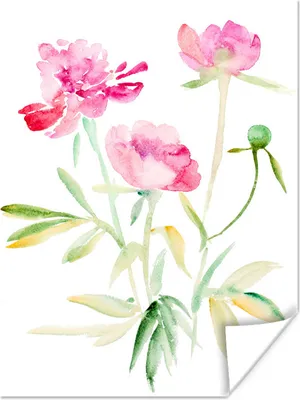 Produktbild von MuchoWow® Poster Blumen - Aquarell - Rosa 30x40 cm - Wandplakat - Poster Kinderzimmer