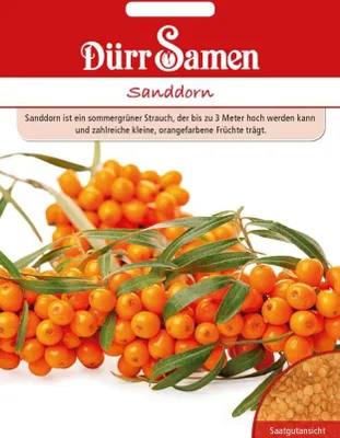 Produktbild von Dürr-Samen Sanddorn, bis zu 3 Meter hoher sommergrüner Strauch mit zahlreichen kleinen Früchten