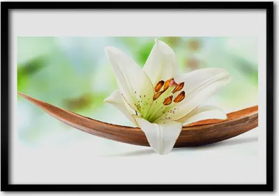 Produktbild von Bild 100x70 MDF-Rahmen Wandkunst Natur Blume Pflanze