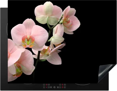 Produktbild von KitchenYeah© Herdabdeckplatte Orchidee - Blumen - Rosa - Stilleben - Flora , 77x59cm, Küche Deko, Glaskeramikkochfeld Herdabdeckung, Abdeckplatte fùr Kochfeld