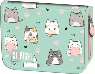 Zdjęcie produktu dla Piórnik 2 komorowy bez wyposażenia Charming Cats