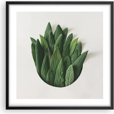 Produktbild von Gerahmtes Poster - Schwarzer Rahmen - Salbei Medizin Blätter - 50x50 cm - Wand Bild - Wanddeko - Wandbilder - Kunstposter - Wandposter - Bilderrahmen - Bilder - Kunstdruck - P2BAC50x50-4859