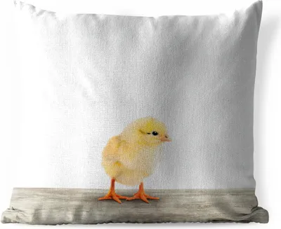 Produktbild von MuchoWow® Outdoor Kissen - Küken - Tiere - Jungen - Mädchen - Kinder - 40x40 cm - Wetterfest - Lounge Kissen - Kopfkissen - Interieur - Polster mit Bild